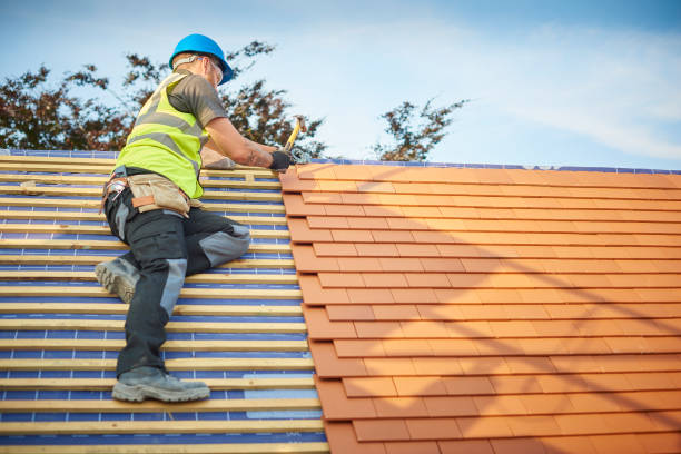 Best Gutter Replacement  in Westover, AL